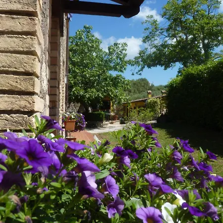 לינה וארוחת בוקר Appartementen Vista Sull'Oliveto *