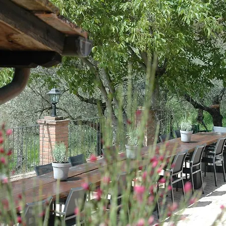 Appartementen Vista Sull'Oliveto *
