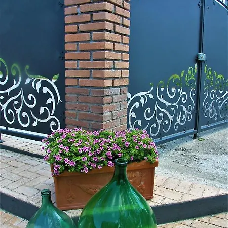לינה וארוחת בוקר Appartementen Vista Sull'Oliveto