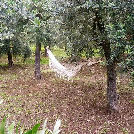 לינה וארוחת בוקר Appartementen Vista Sull'Oliveto *